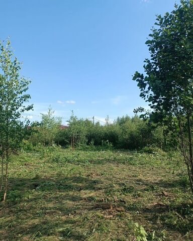 земля снт Флора 37 фото