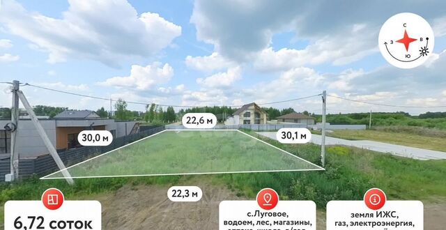 снт Луговое фото