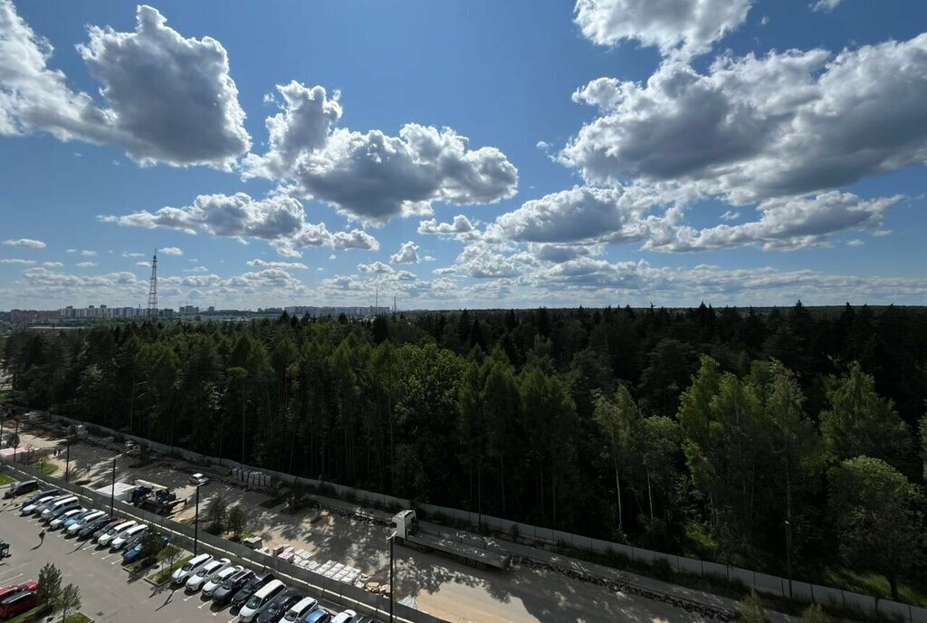 квартира г Мытищи ул Стрельбище Динамо 10 ЖК «Мытищи Парк» Ростокино фото 9