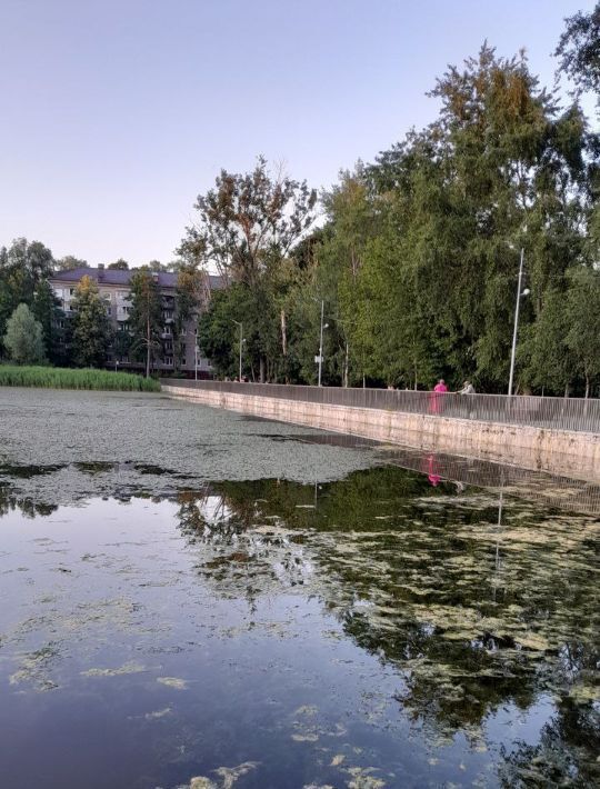 квартира г Королев мкр Юбилейный ул Героев Курсантов 2 Медведково фото 3