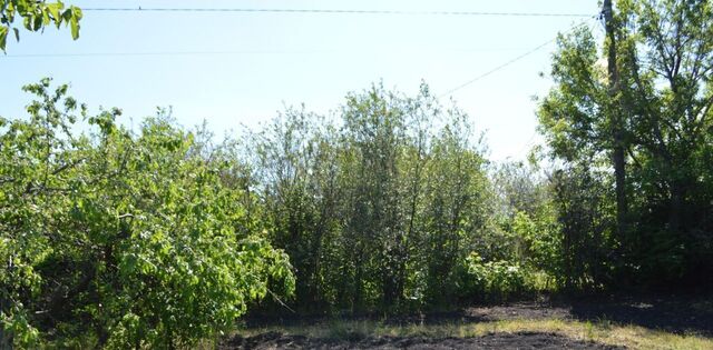 р-н Тракторозаводский снт Тракторосад 4 ул Дорога 23 20 1 тер., 1-2 сад фото