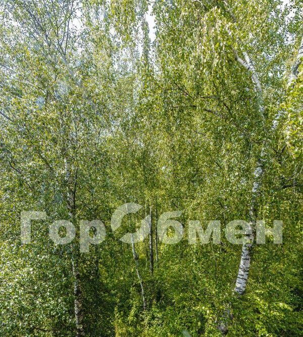 дом г Серпухов ул Центральная 40 Берег-2 ТСН фото 29