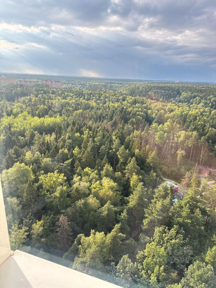 квартира г Красногорск ул Игоря Мерлушкина 2 фото 16