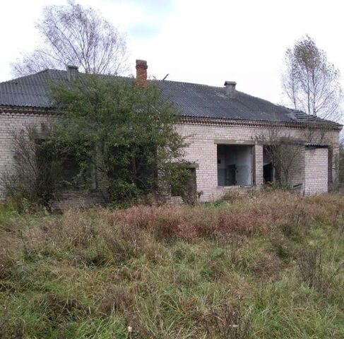 городской округ Лотошино д Коноплево фото