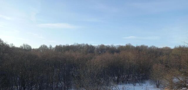 городской округ Дмитровский д Елизаветино фото