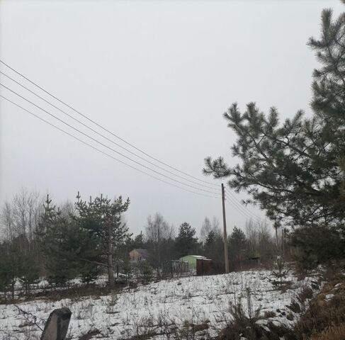 снт Дубрава Володарский муниципальный округ фото