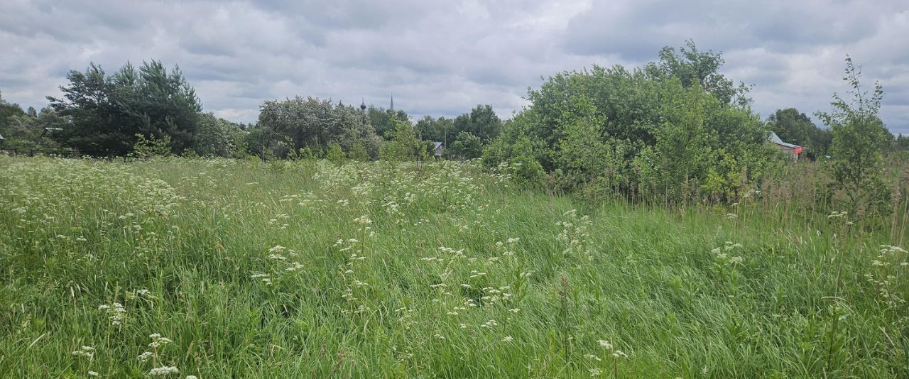 земля г Домодедово с Шубино Домодедово городской округ фото 1