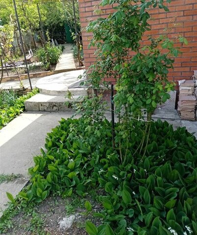р-н мкр Южный ул Крестьянская 2а фото