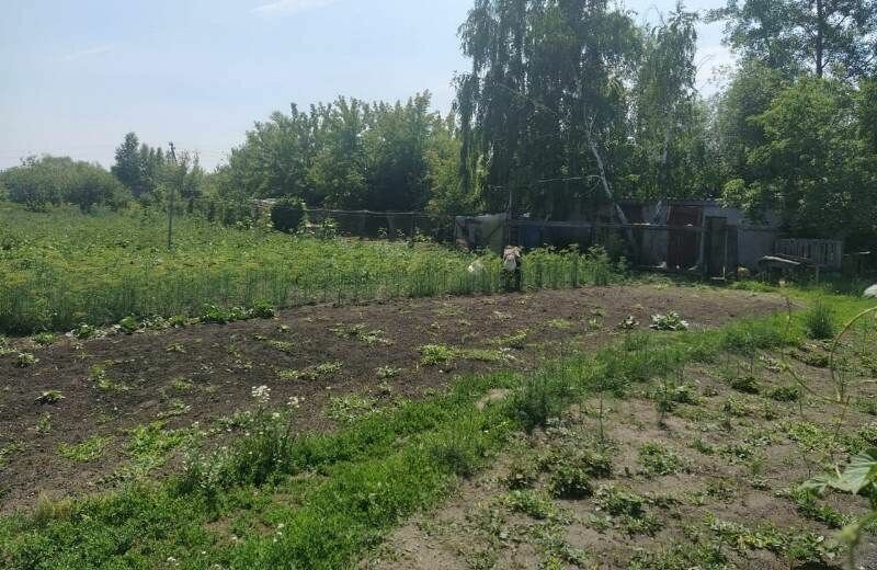 дом г Курган Осиновая улица фото 3