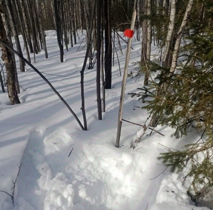 земля г Ревда с Кунгурка фото 3