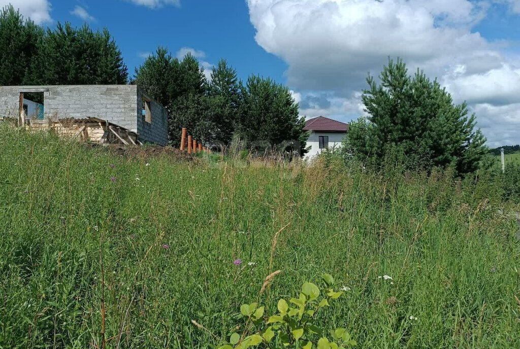 земля г Горно-Алтайск ул Аржана Адарова фото 3