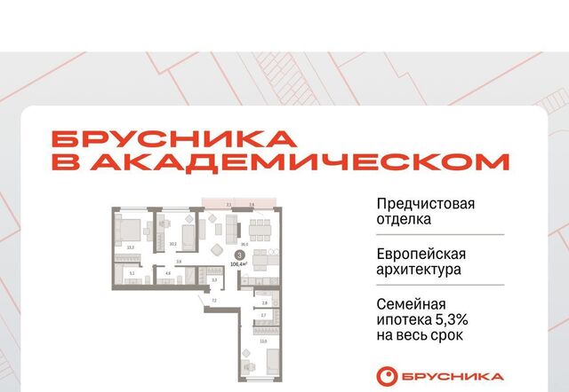 Академический Чкаловская ЖК Брусника в Академическом 19-й кв-л фото