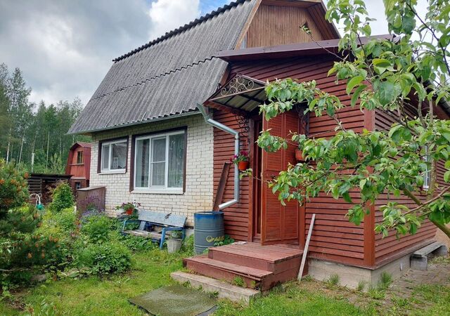 снт Бригантина 41 км, Гатчинский муниципальный округ, 32, Вырица, Киевское шоссе фото