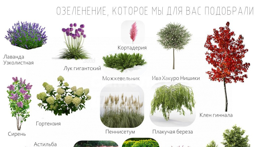 квартира г Липецк р-н Советский Университетский ул Замятина Е.И. 1 фото 15