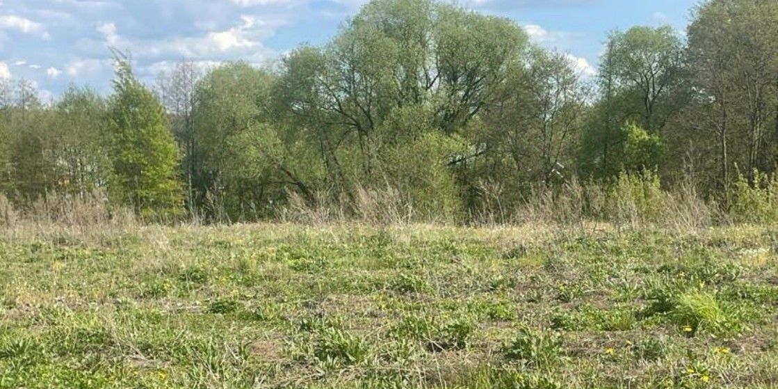 земля г Бронницы фото 1