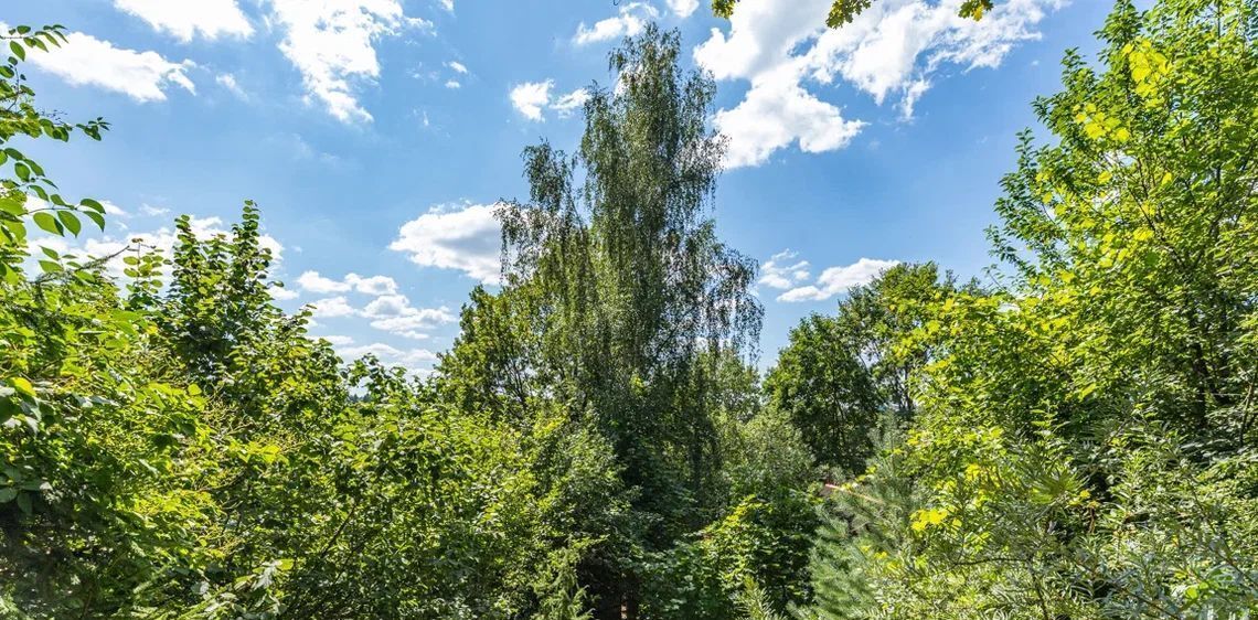 дом г Химки Подрезково, ул. Герцена, 12 фото 15