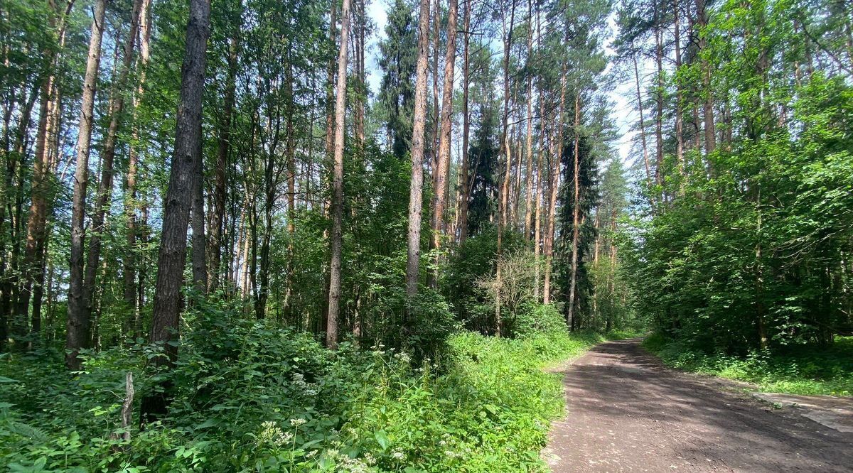 квартира городской округ Истра г Дедовск ул Красный Октябрь 8 Нахабино фото 19