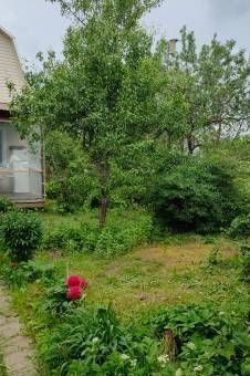 дом городской округ Пушкинский г Красноармейск снт Тимирязева 38 км, 114, Ярославское шоссе фото 9