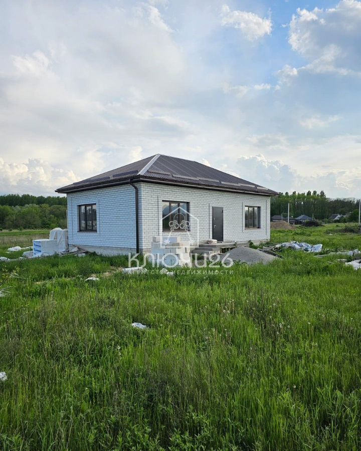 дом г Георгиевск пл Победы станица Лысогорская фото 1