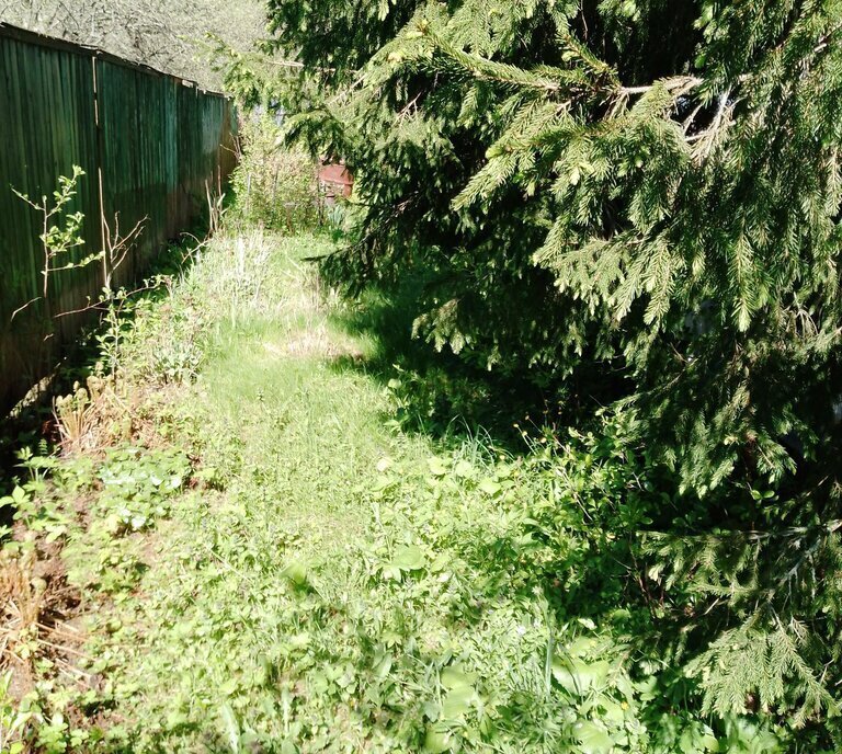 земля г Коломна снт Новое городской округ Клин фото 2