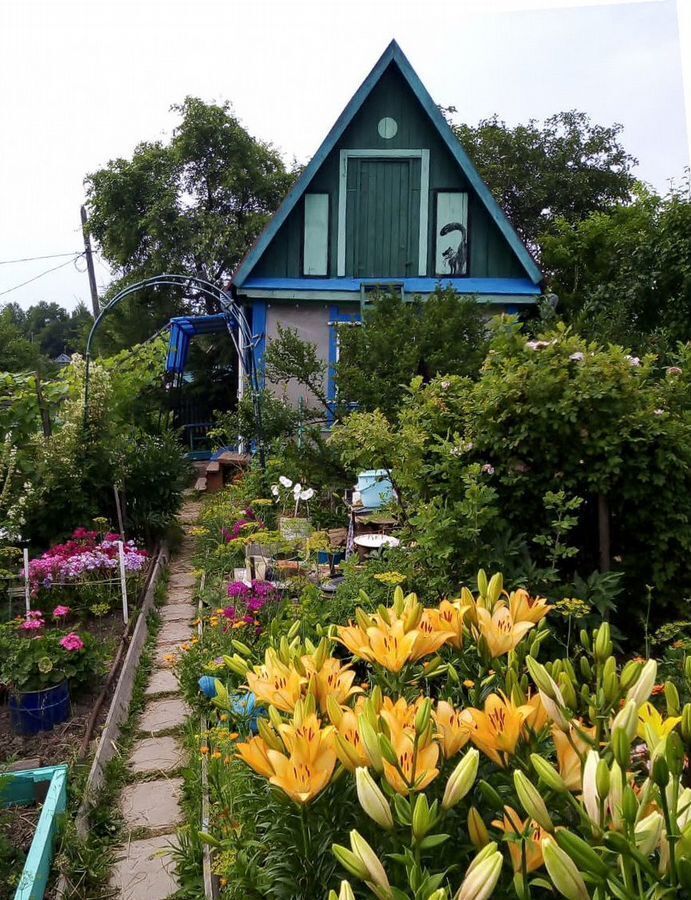 дом г Амурск снт Урожайное 11-я ул., 51, Амурский р-н фото 1