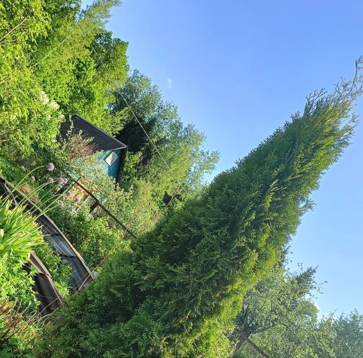 дом г Щёлково снт Дубки 4 кв-л, 49, Богородский городской округ фото 15
