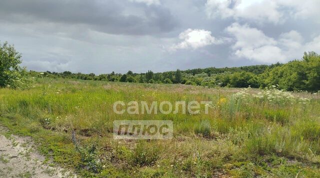 ул Приозерная 9 сельсовет фото