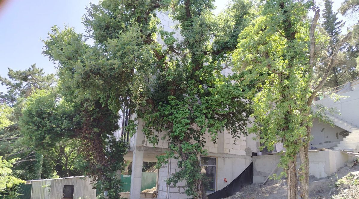 дом г Ялта п Даниловка фото 25