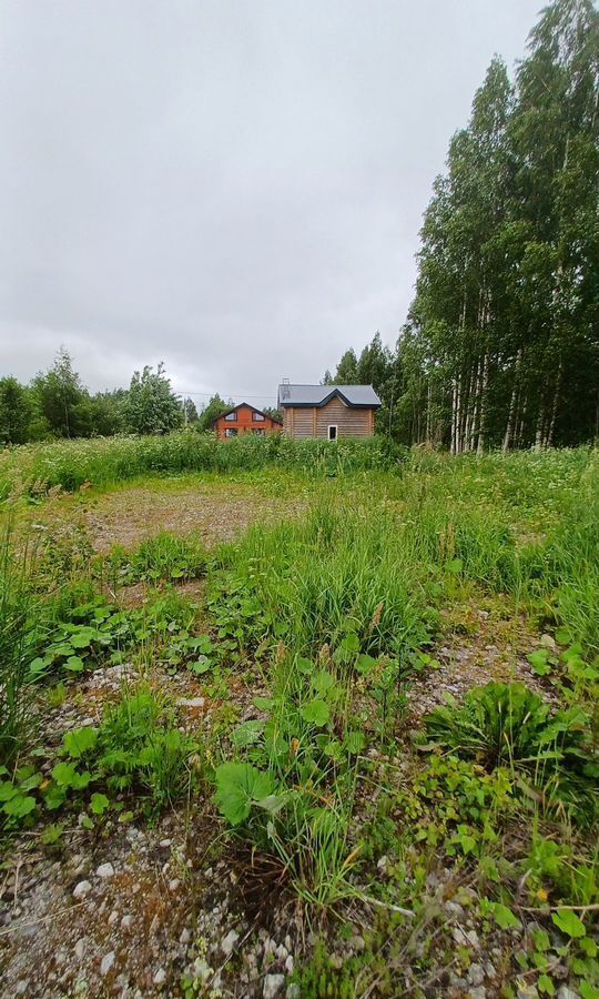 земля г Череповец р-н Зашекснинский пер 3-й Липецкий фото 6