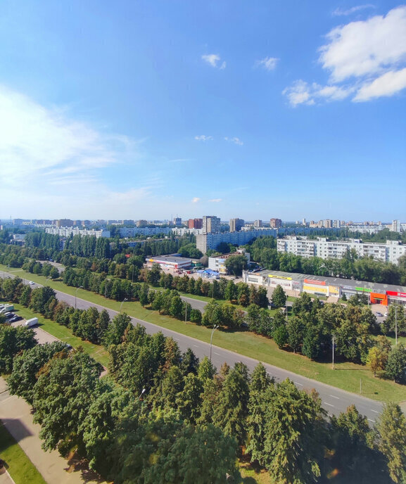 квартира г Тольятти р-н Автозаводский пр-кт Ленинский 1г фото 9