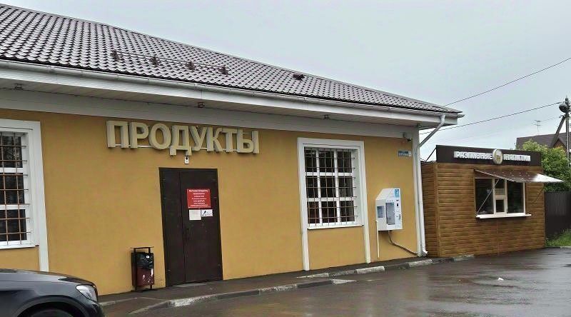 торговое помещение г Домодедово с Добрыниха ул Березовая 9а фото 2
