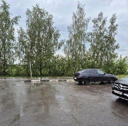 торговое помещение г Домодедово с Добрыниха ул Березовая 9а фото 20