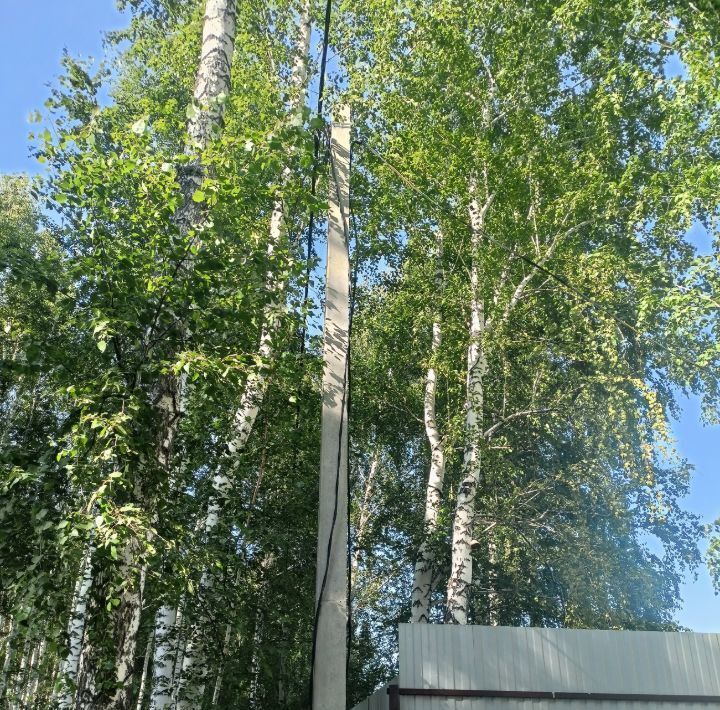 земля г Кинель фото 7