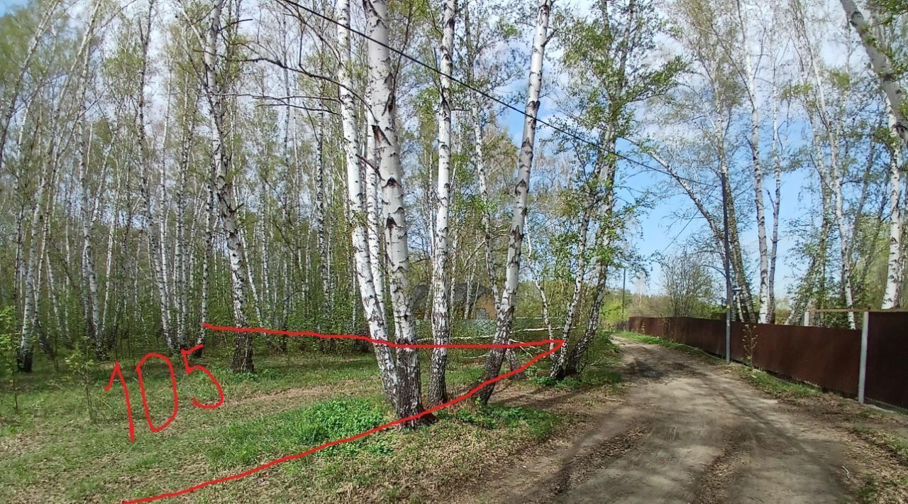 земля г Омск р-н Октябрьский СОСН Горняк тер., аллея 6-я, 105 фото 4