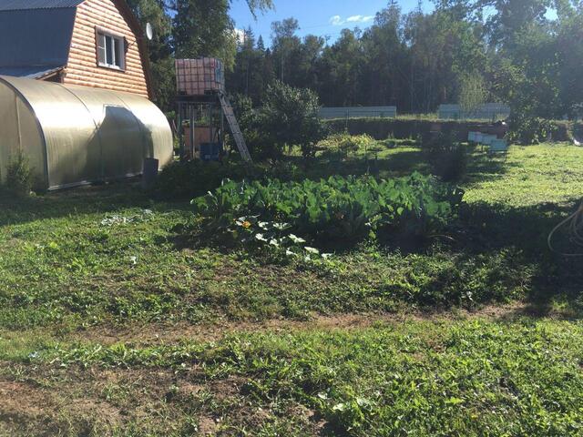 314, Одинцовский городской округ, Содружество садовое товарищество фото