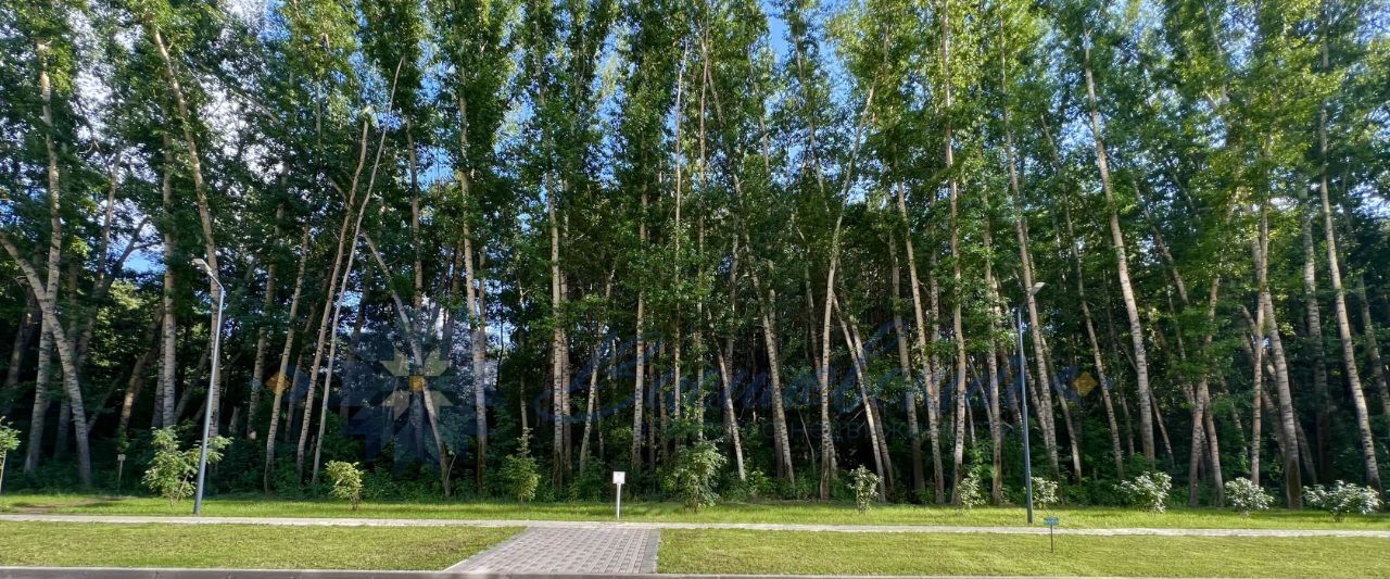 квартира г Новосибирск Студенческая ул Александра Чистякова 22/1 фото 38