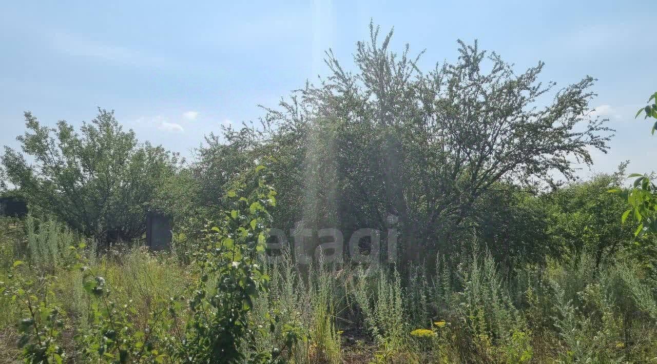 земля г Губкин снт Журавушка 959 фото 15
