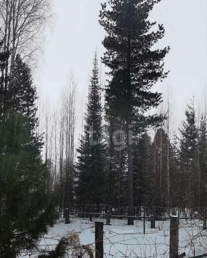 земля г Ханты-Мансийск снт Дорожник-2 Тюменская обл., садово-огородническое товарищество фото 4