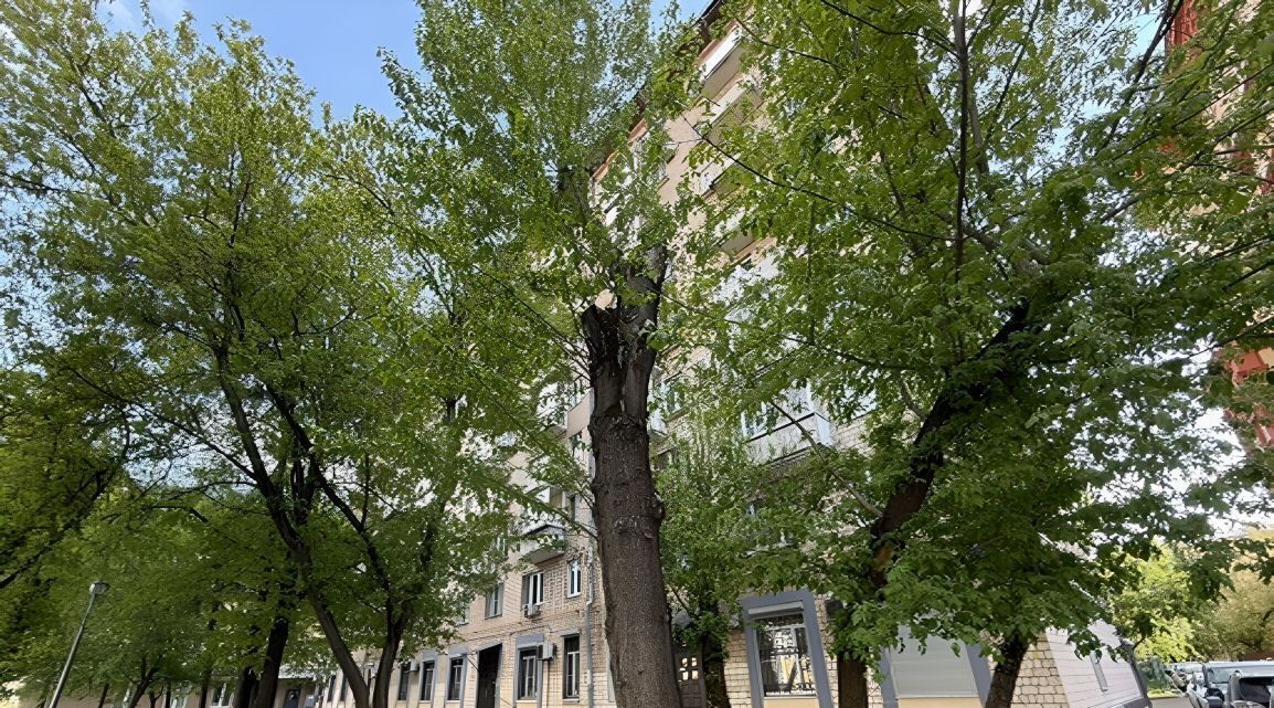 квартира г Москва метро Новокузнецкая наб Космодамианская 4/22а муниципальный округ Замоскворечье фото 8