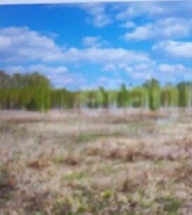земля г Ульяновск с Луговое пер 1-й Рахманова р-н Железнодорожный фото 2