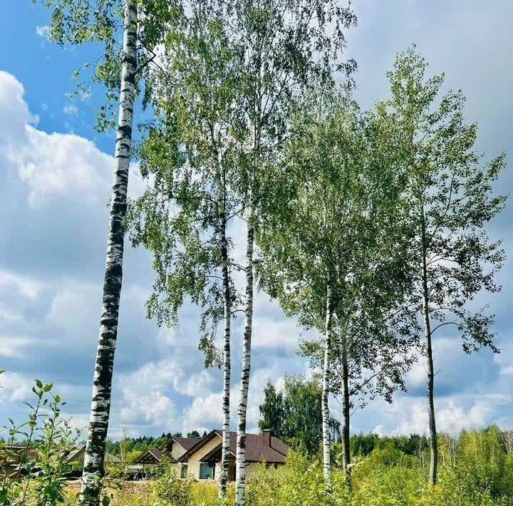 земля г Химки Ксенон мкр, Кутузовское-1 ТСН, Зеленоград — Крюково фото 4