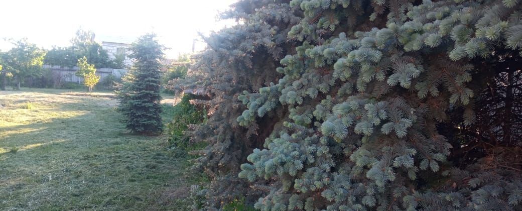 дом р-н Россошанский г Россошь ул Кирова городское поселение Россошь фото 2