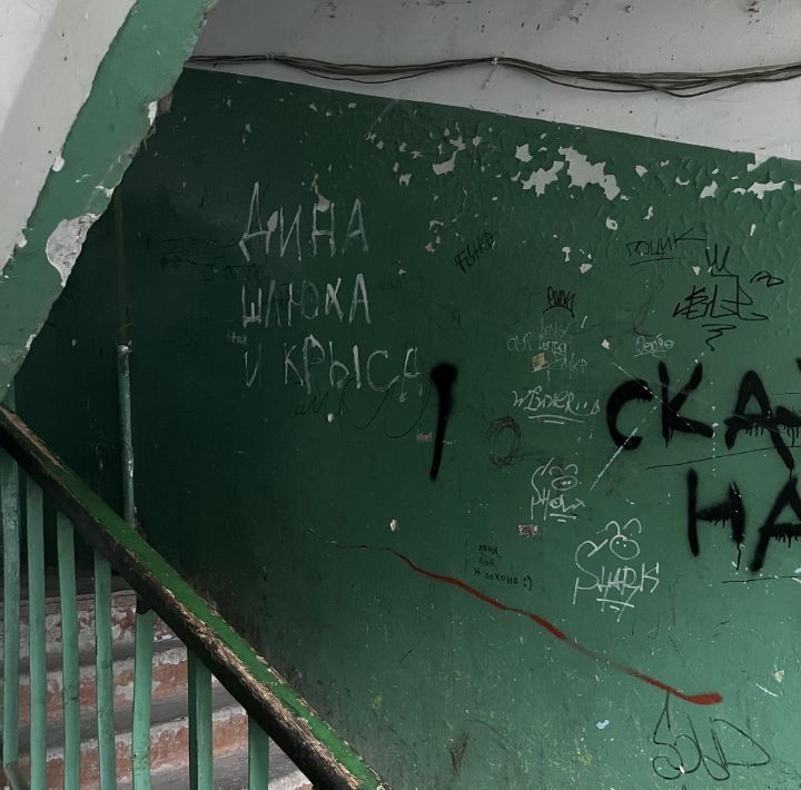 комната г Дзержинск ул Ситнова 8 фото 18