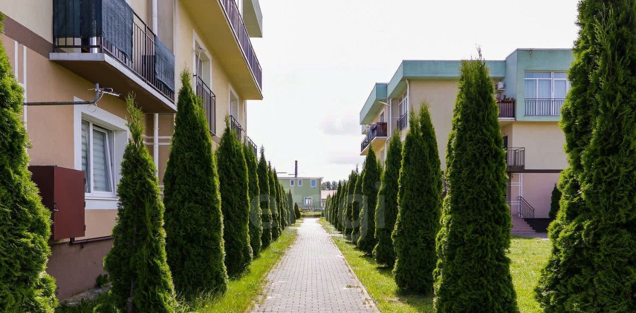 квартира р-н Зеленоградский г Зеленоградск ул Ясная 2 Сосновка фото 27