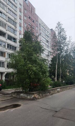 метро Улица Дыбенко дом 26к/1 округ № 54 фото
