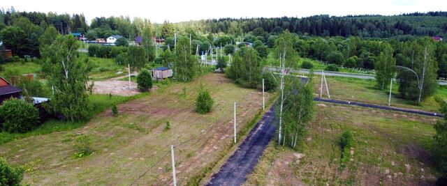 Форест Клаб кп, 25 фото
