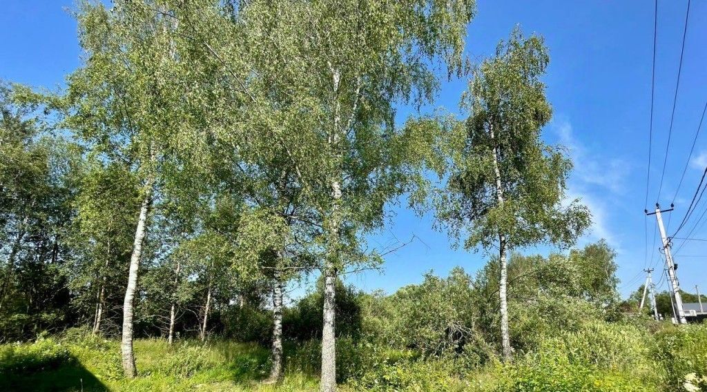 земля г Истра 0070205 кв-л фото 3