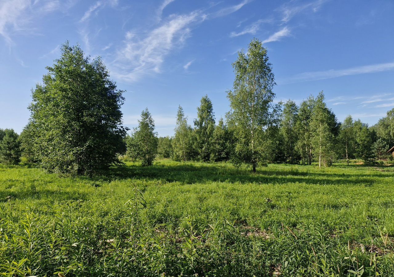 земля городской округ Наро-Фоминский г Апрелевка 27 км, д. Першино, Киевское шоссе фото 6