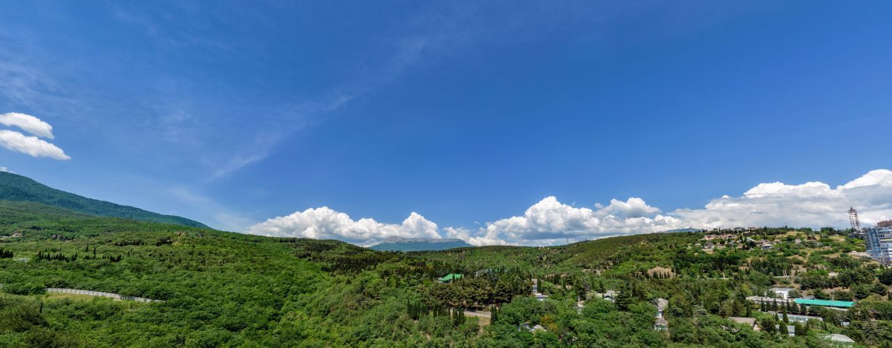 квартира г Алушта с Виноградное ул Сусловой 3 фото 4