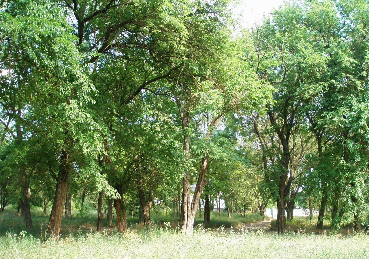 земля г Керчь Больничный городок, 1 фото 3